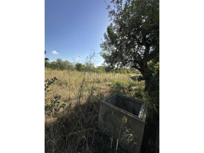Foto 0f91e798-9353-49fd-bb2c-b7491666fe53. Finca rústica a Vila-seca poble Vila-seca