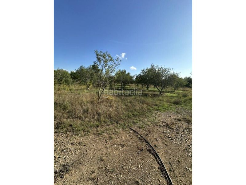 Foto a7d5dd17-ad6f-4c22-baec-6d922b765490. Finca rústica a Vila-seca poble Vila-seca