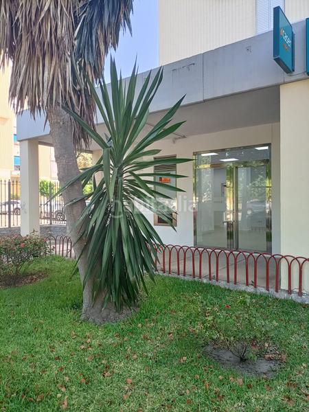 Foto 41c8f88b-5d39-424f-8df2-ff0d31b1c5a1. Local comercial local en La Plata Jerez de la Frontera