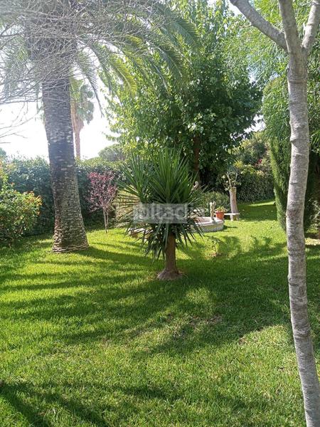 Foto 52c814a1-cf96-40f0-ba56-7268aa955a37. Chalet with pool in Parque Atlántico - Ronda este Jerez de la Frontera