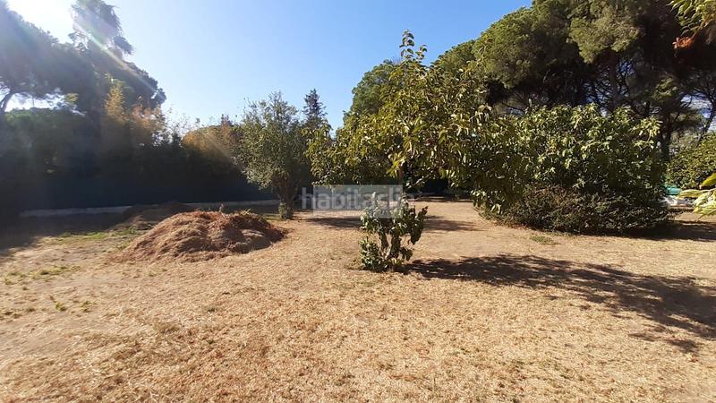 Foto 53295988-959c-4c50-a217-b37e0c02e786. Chalet with pool in Parque Atlántico - Ronda este Jerez de la Frontera