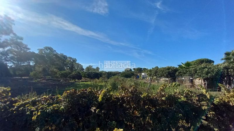 Foto 1563b53c-a0fe-4b5b-a910-776937980b8b. Casa a Parque Atlántico - Ronda este Jerez de la Frontera
