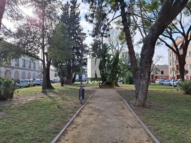 Foto 16b8a7bc-4cf8-443a-b67f-11b57b9683a3. Pis a Madre de Dios Jerez de la Frontera