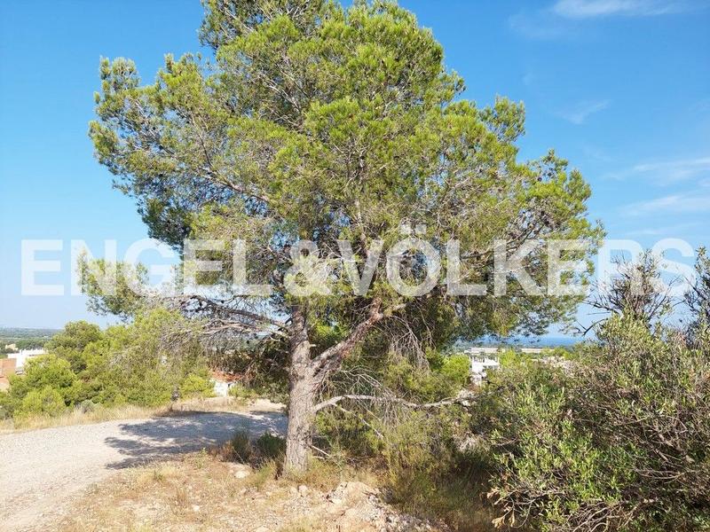 Foto 311f45ae-df7f-4155-9a55-a97e1e917c0a. Terreny residencial a carrer joan grifoll 2 a Poble Mont-roig del Camp