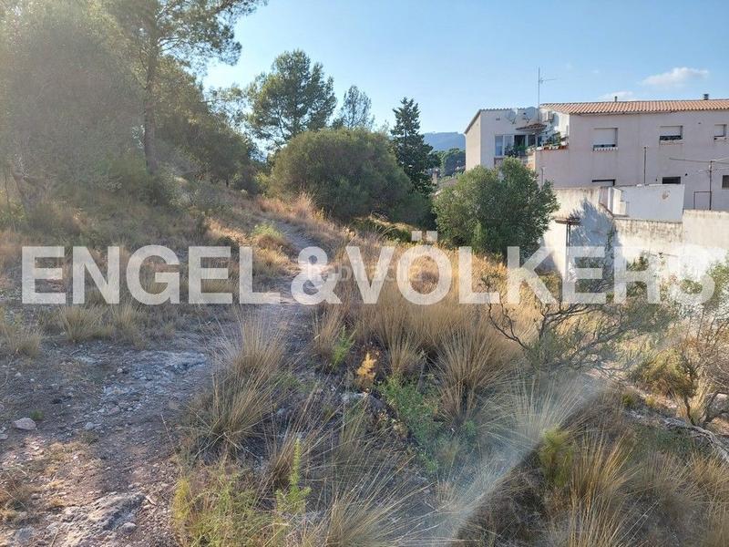 Foto 9ee9a21e-5b0b-4c86-a4d2-47a204076982. Terreny residencial a carrer joan grifoll 2 a Poble Mont-roig del Camp