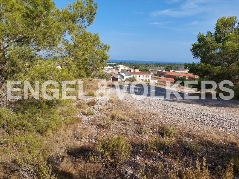 Foto a2935986-ce60-45c4-a03d-e5372c902f46. Terreny residencial a carrer joan grifoll 2 a Poble Mont-roig del Camp