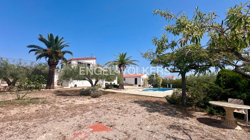 Foto 56193b09-a974-4832-b27f-92cf3e1049a0. Chalet en carrer polígon 89 preciosa finca renovada en l’ampolla con licencia turística en Ampolla (L´)