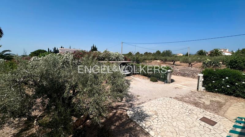 Foto 5c907d99-2bc3-4364-8ec8-5d586699f0aa. Chalet en carrer polígon 89 preciosa finca renovada en l’ampolla con licencia turística en Ampolla (L´)