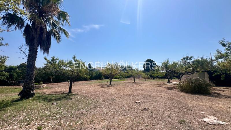 Foto 8e8f382d-bd6d-4911-9a60-9f4461db5e17. Chalet en carrer polígon 89 preciosa finca renovada en l’ampolla con licencia turística en Ampolla (L´)