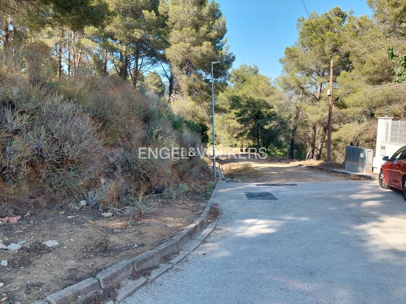 Foto 27e509d5-3752-44f7-9c1c-d1f0c04340ce. Terrain résidentiel dans carrer dels reguerals 125 dans Riudecanyes