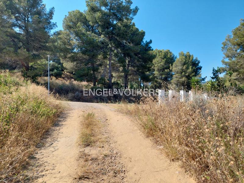 Foto 4b17d493-c0c1-4c58-b286-dadb1641f857. Terrain résidentiel dans carrer dels reguerals 125 dans Riudecanyes
