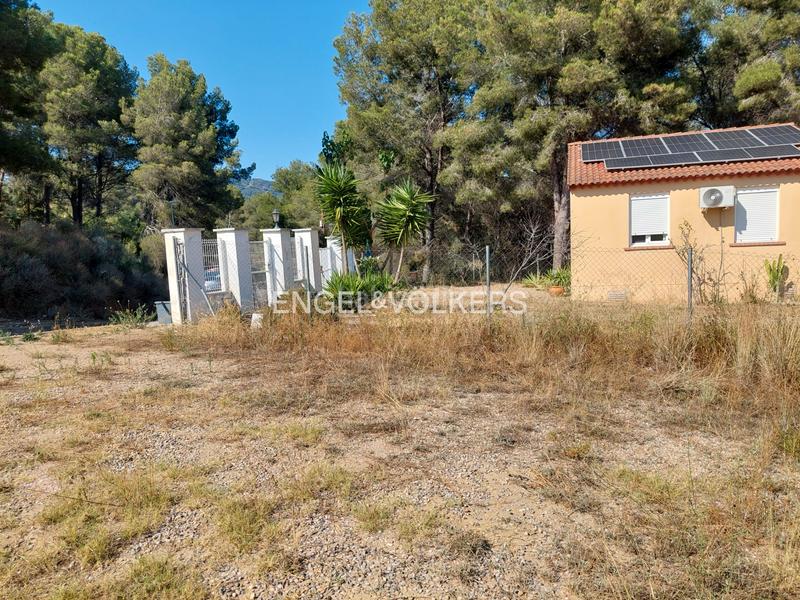 Foto e1634ef9-fdfc-4083-a72b-9f594af1900e. Terrain résidentiel dans carrer dels reguerals 125 dans Riudecanyes