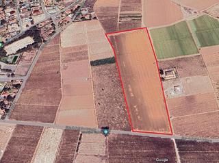 Finca rústica a Partida valverde 106. Espectacular parcela para edificar 3 propiedades
