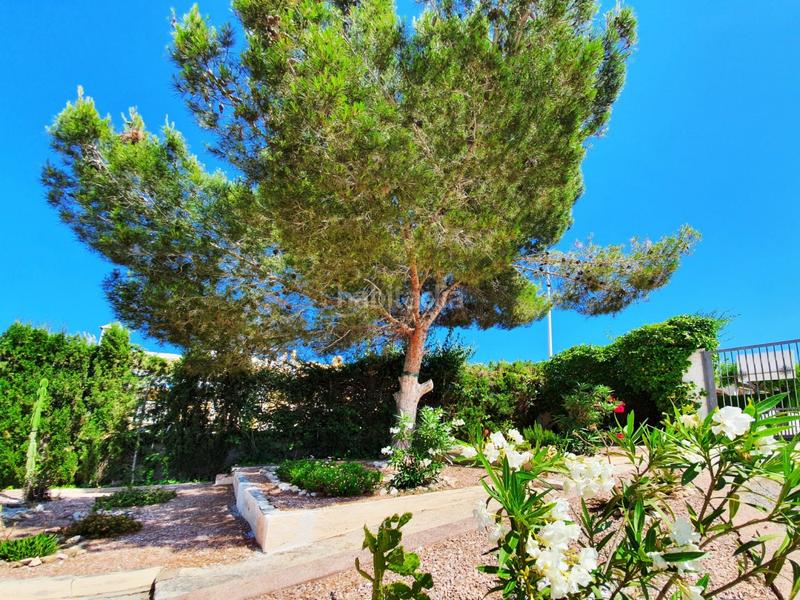 Foto 064ec601-a825-4989-a79e-abb061a426d6. Chalet mit heizung parking pool in Monte y Mar Santa Pola