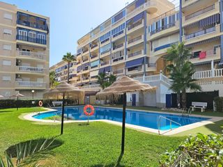 Estudi  Costa blanca. Estudio con licencia turística y piscina a 220 m de la playa en