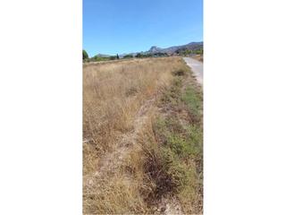 Finca rústica  Campo alto. Terreno en venta en campo alto