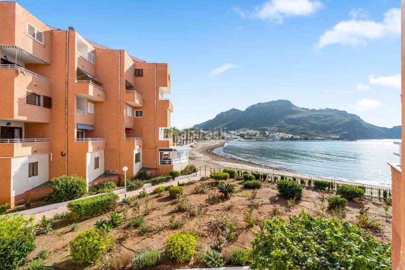 Foto 6af22bbb-a6e5-4d91-8449-9d86ed8a1f0c. Pis a cotopaxi 1 a Calabardina Águilas