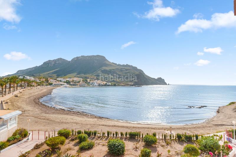 Foto bf008a04-ffd9-4790-9a3f-12c9dbabc4c9. Pis a cotopaxi 1 a Calabardina Águilas