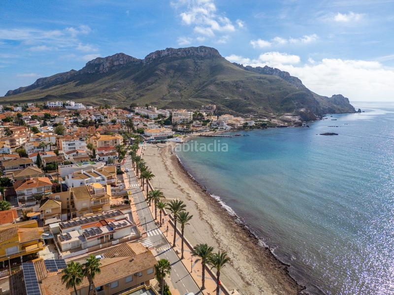 Foto ee543599-01eb-494f-9ea4-a70fb3cd0693. Pis a cotopaxi 1 a Calabardina Águilas