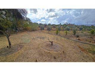Terreny residencial  N/a. Terreno cerca pta