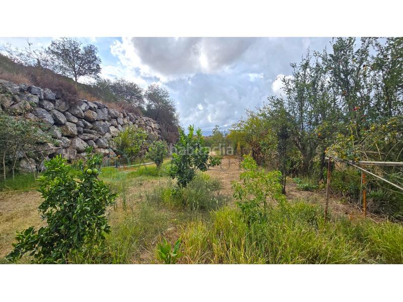 Foto 123a8892-5932-4ac4-ac12-adaf2d8f160b. Terreny residencial a Campanillas Málaga