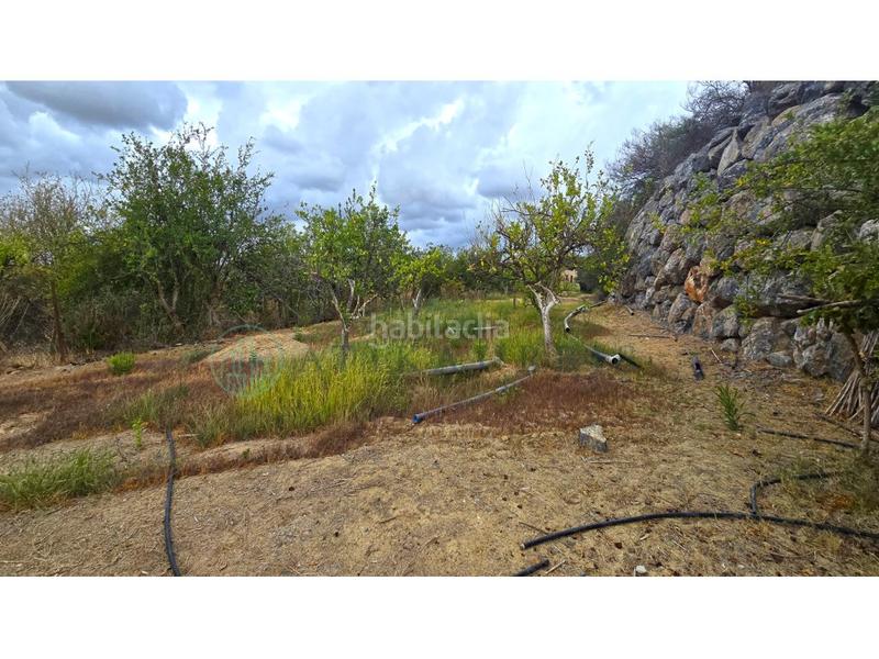 Foto 6254cd74-7ae0-4fb3-8d0b-09df045c7fae. Terreny residencial a Campanillas Málaga