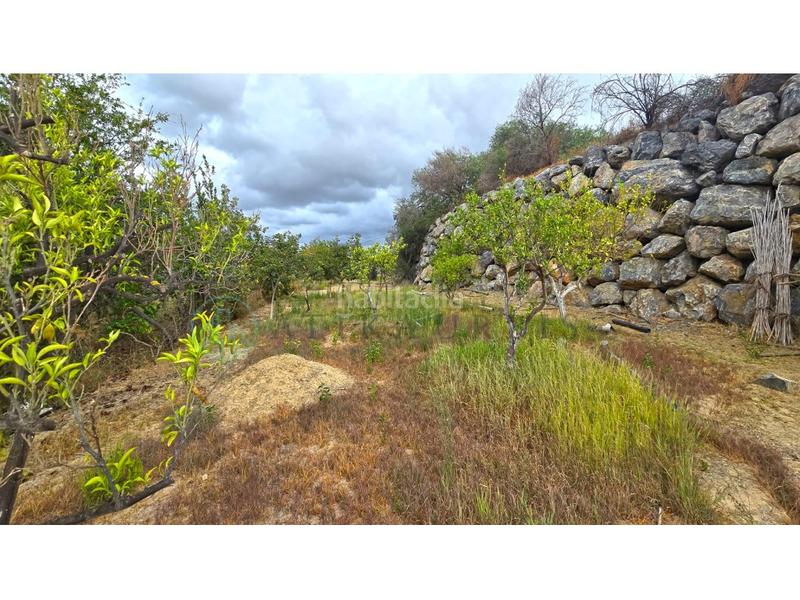 Foto 6488134b-98ef-4d61-a42e-f5a5c552e3a7. Terreny residencial a Campanillas Málaga