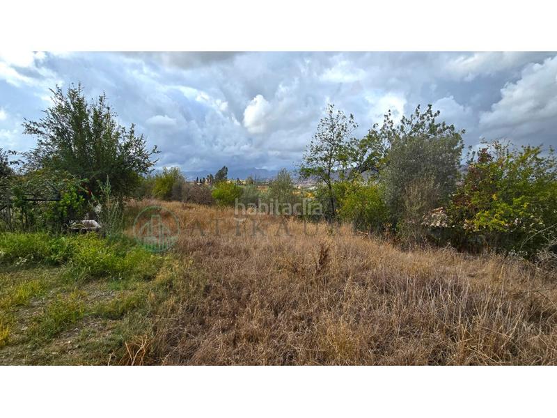 Foto 8dfe4015-30f7-4c33-ba7e-7b9f720fed36. Terreny residencial a Campanillas Málaga