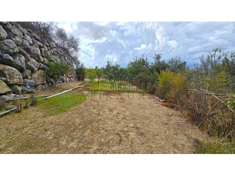 Foto dc6b0710-24e5-46a4-b544-00f6ce76d49f. Terreny residencial a Campanillas Málaga