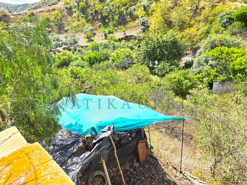 Foto 4d3dd794-9b1e-4386-8faf-d1883bdeaac7. Casa alora en Álora