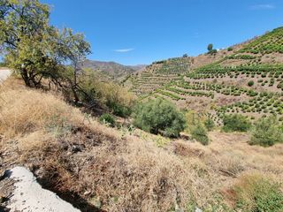 Finca rústica  Diseminados diseminados. Zambucha