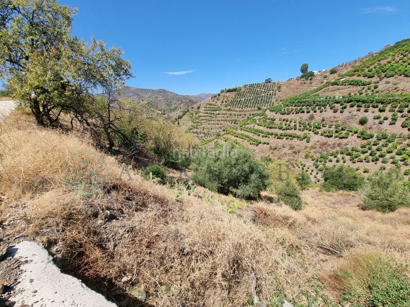 Foto eca133c8-70ee-4dee-86cb-a638f2e892cf. Finca rústica a Benamargosa