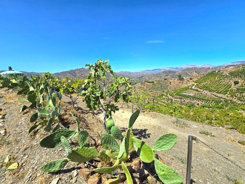 Foto 1e0b9168-379b-4919-a738-a6895e810f50. Finca rústica zambucha en Benamargosa