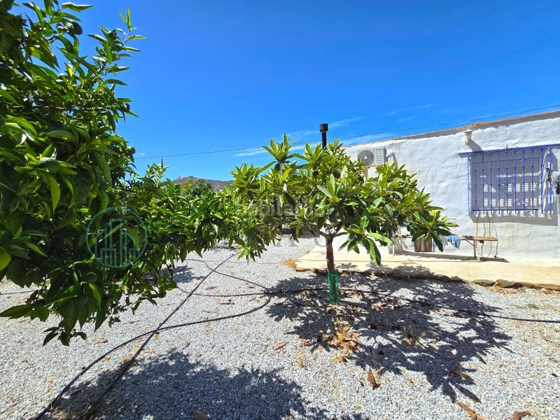 Foto 400c0d90-bdda-468e-abce-937b662511fd. Finca rústica zambucha en Benamargosa