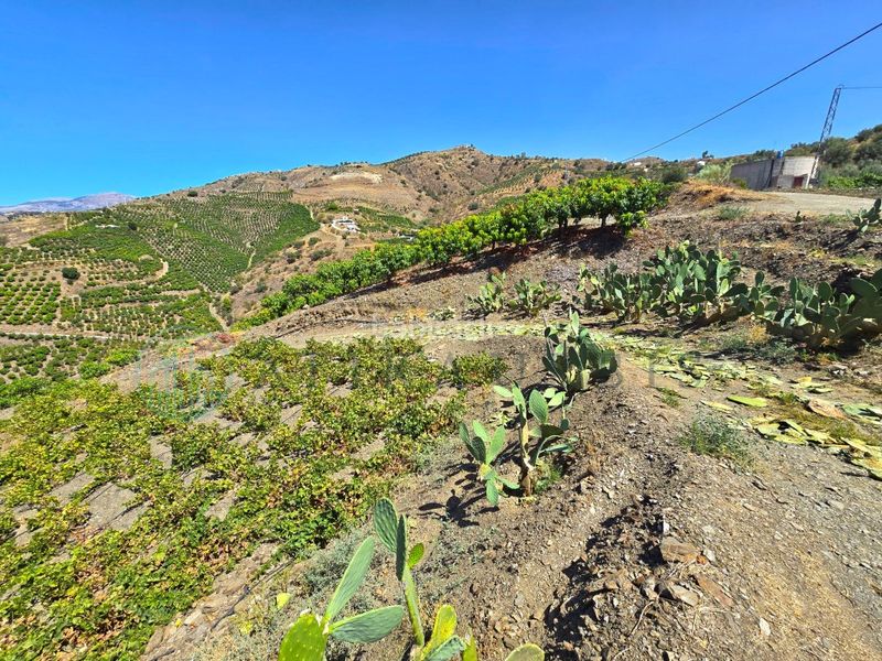 Foto 43dfba65-2252-4569-a79c-0f74ed392061. Finca rústica zambucha en Benamargosa