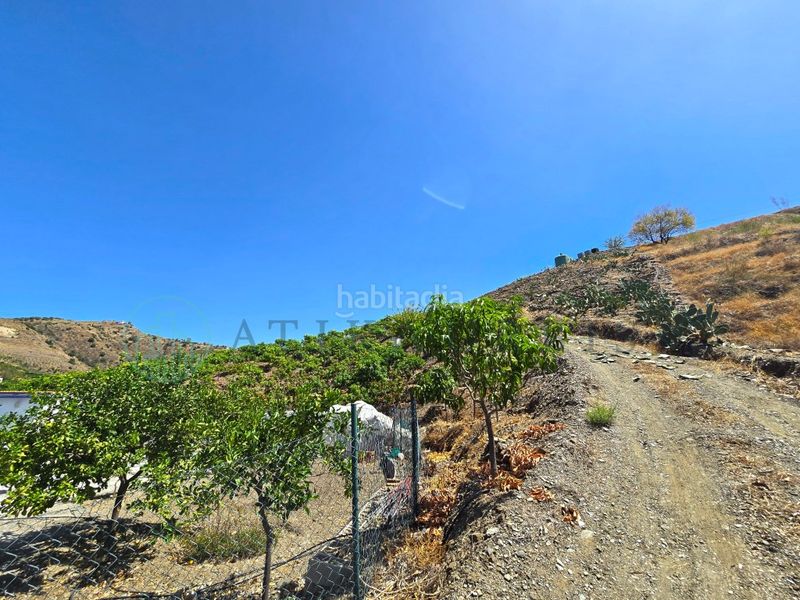 Foto 6abc9118-fcba-45e5-b312-77f8716afe04. Finca rústica zambucha en Benamargosa
