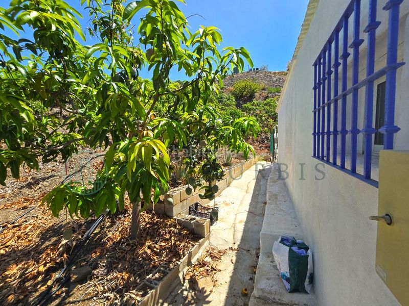 Foto 84f7cd5f-0f7d-453d-9a40-190314522056. Finca rústica zambucha en Benamargosa