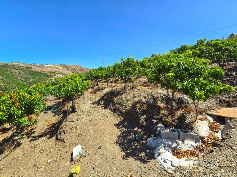 Foto b4417c81-8425-450f-bfbe-aa3ebfab5be3. Finca rústica zambucha en Benamargosa