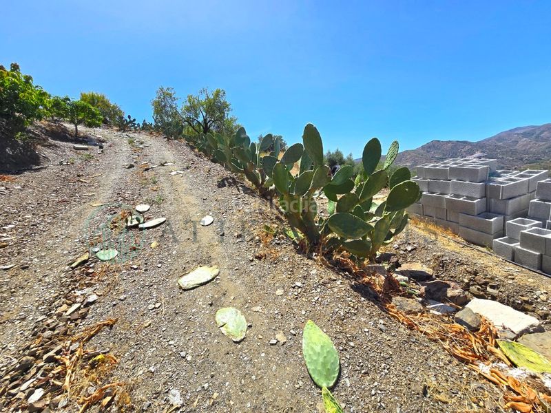 Foto d3ec7568-9e6c-45ea-8283-ac976a04c6b4. Finca rústica zambucha en Benamargosa