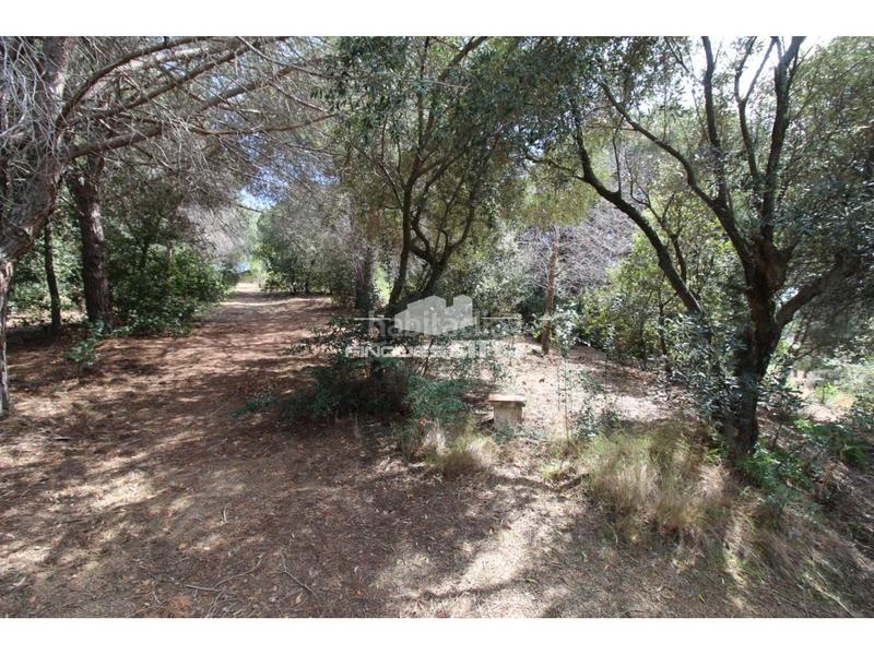 Foto 37c26c63-f11e-49e1-95b2-4a8eb4564c29. Gewerbliches grundstück in Zona alta Arenys de Mar