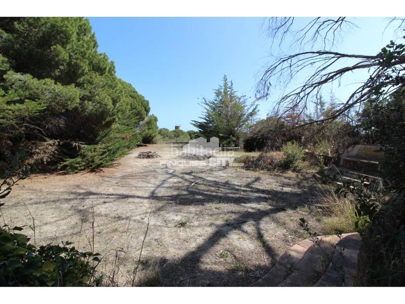 Foto 3de18ac4-dd97-400b-a3fd-77f04e5e587b. Gewerbliches grundstück in Zona alta Arenys de Mar