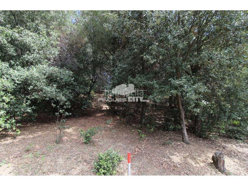 Foto 55d6c5b2-2c4e-4305-9ed9-310265df0811. Gewerbliches grundstück in Zona alta Arenys de Mar