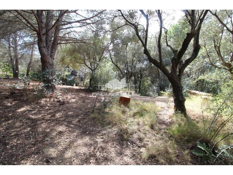 Foto 56fb85b9-618f-450e-9660-89f76b03fe05. Gewerbliches grundstück in Zona alta Arenys de Mar