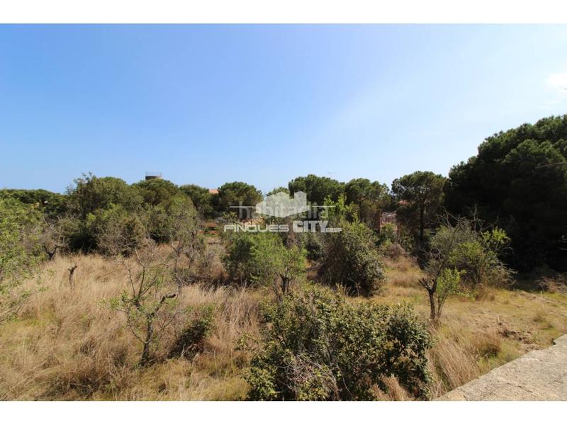 Foto 7a6ced95-9b83-4d76-9846-1d221979e764. Gewerbliches grundstück in Zona alta Arenys de Mar