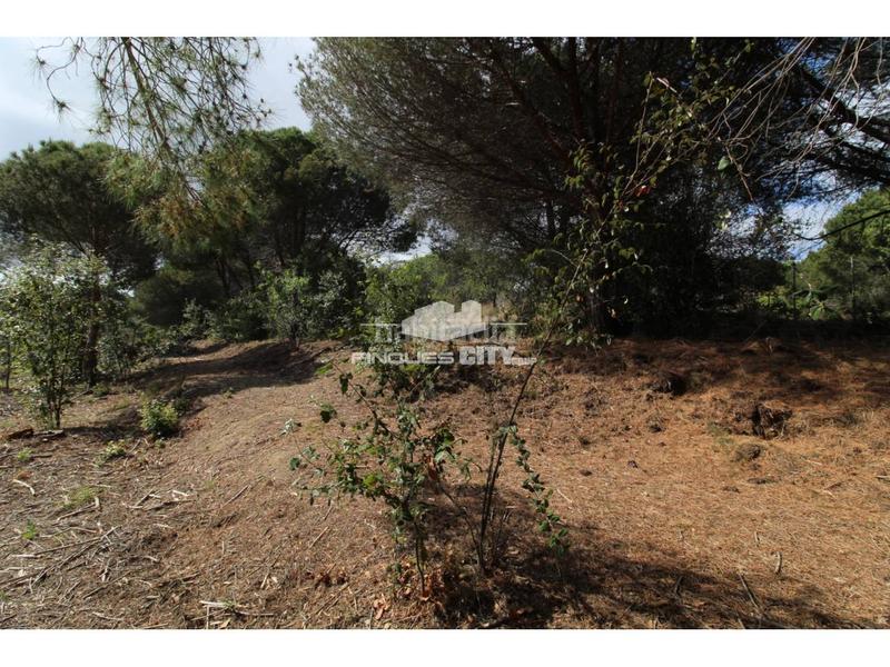 Foto b2698fd7-63ff-4b8e-b642-cad1c792e67c. Gewerbliches grundstück in Zona alta Arenys de Mar