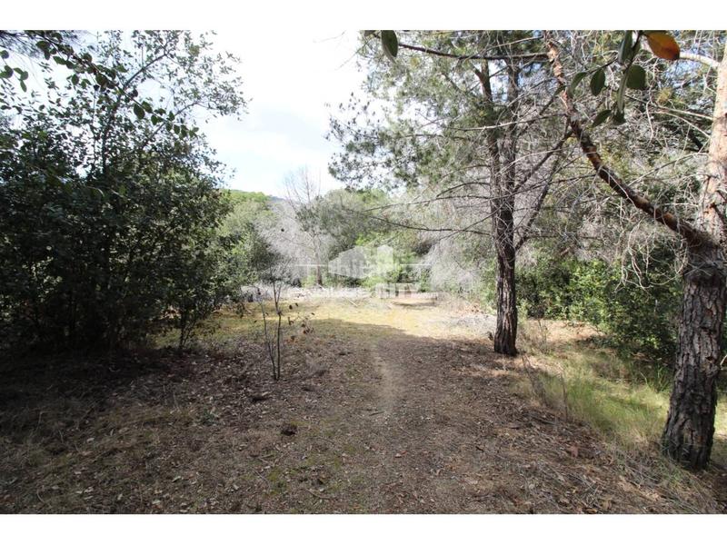 Foto c5dcb9b2-8b1b-4b43-8d4f-53df00ff6ee8. Gewerbliches grundstück in Zona alta Arenys de Mar