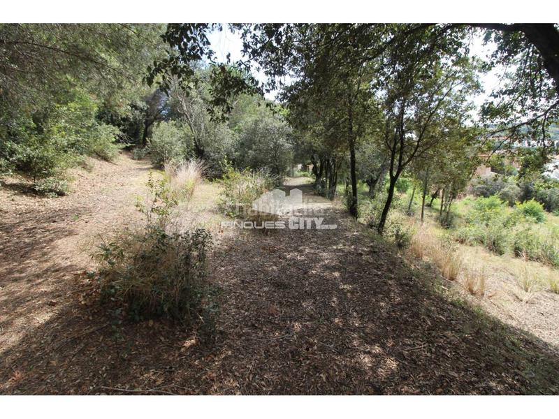 Foto c948ed41-f8e3-4c4c-be9b-be94d4575dfc. Gewerbliches grundstück in Zona alta Arenys de Mar