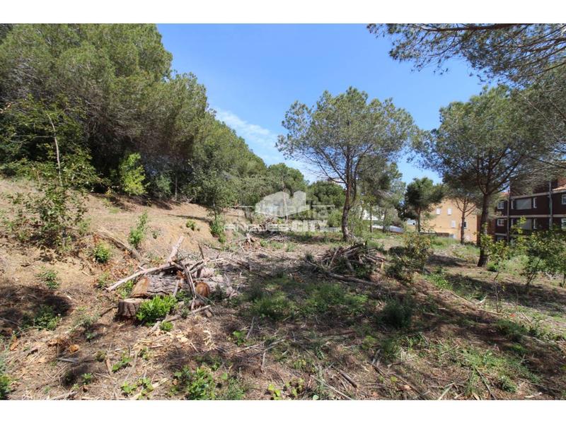 Foto cadd2f7b-db20-4bbb-894d-4ee122461b21. Gewerbliches grundstück in Zona alta Arenys de Mar