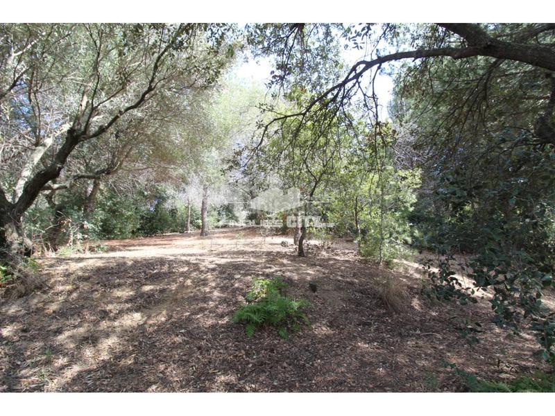 Foto f682cac5-028e-4b64-81c1-18aaf5639815. Gewerbliches grundstück in Zona alta Arenys de Mar