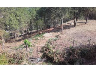 Terreny residencial  Pantà. Solar en venta en riudarenes